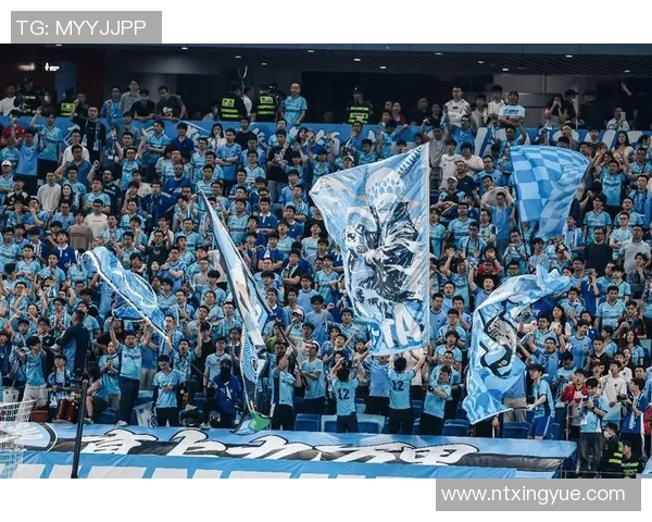 足球明星璀璨星光汇聚，见证足球魅力的独特标志与荣耀荣耀之路